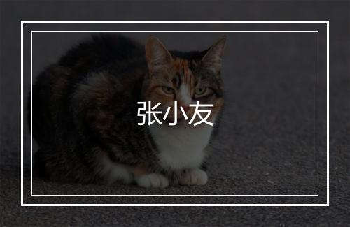 张小友