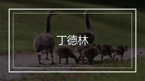 丁德林