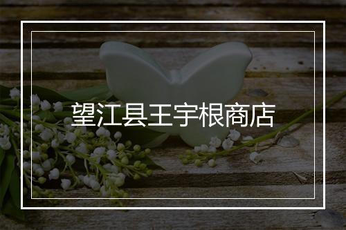 望江县王宇根商店