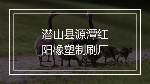 潜山县源潭红阳橡塑制刷厂