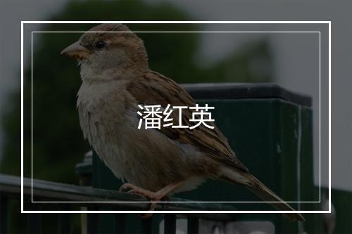 潘红英