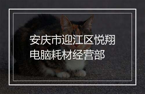 安庆市迎江区悦翔电脑耗材经营部