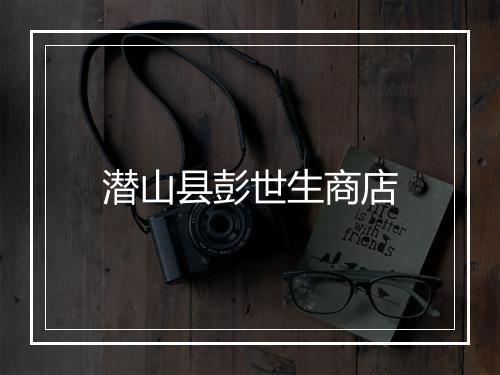 潜山县彭世生商店