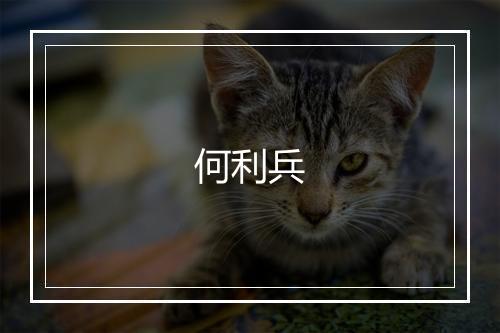 何利兵