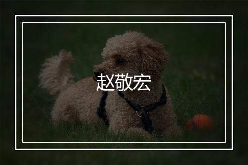 赵敬宏
