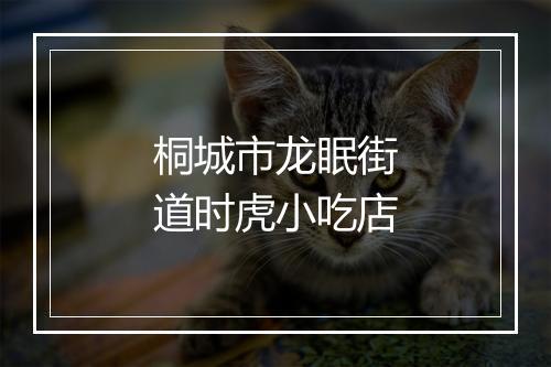 桐城市龙眠街道时虎小吃店