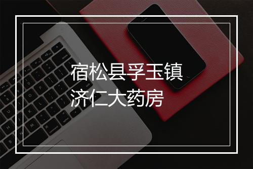 宿松县孚玉镇济仁大药房