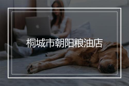桐城市朝阳粮油店