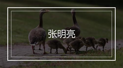 张明亮