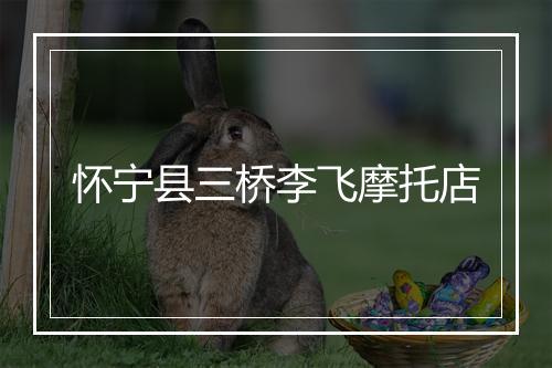 怀宁县三桥李飞摩托店
