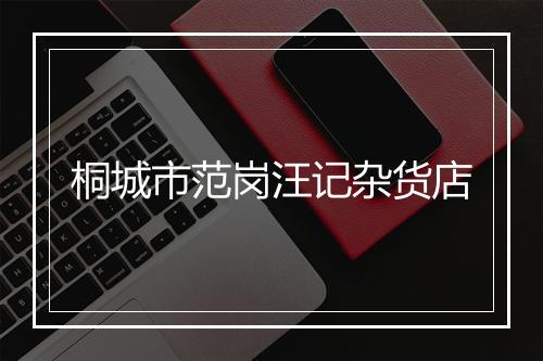 桐城市范岗汪记杂货店