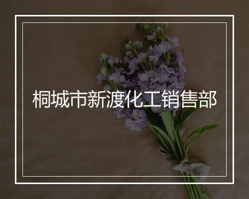 桐城市新渡化工销售部