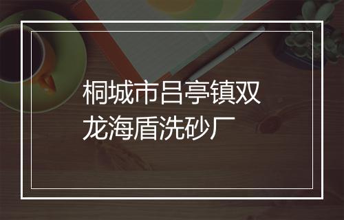 桐城市吕亭镇双龙海盾洗砂厂