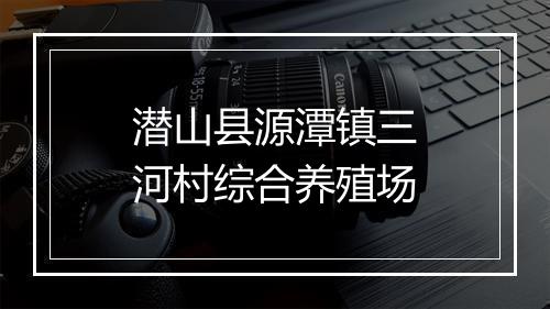 潜山县源潭镇三河村综合养殖场