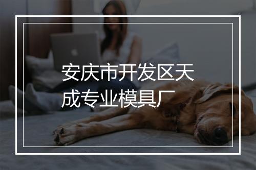 安庆市开发区天成专业模具厂