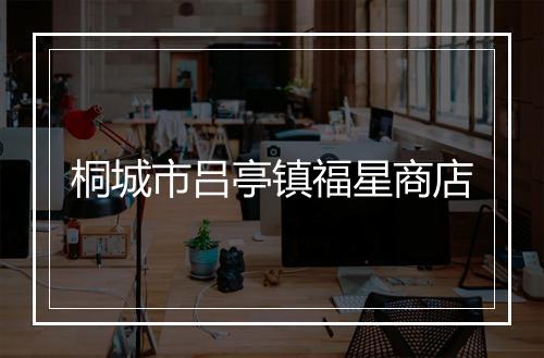 桐城市吕亭镇福星商店