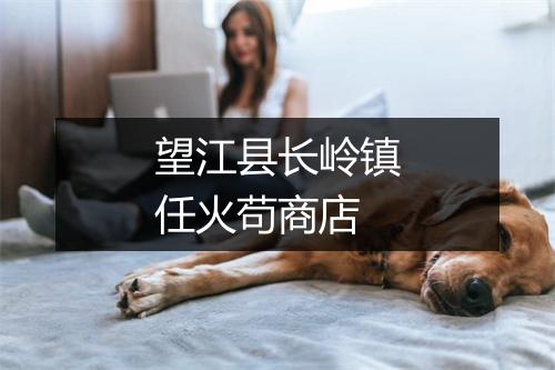 望江县长岭镇任火苟商店