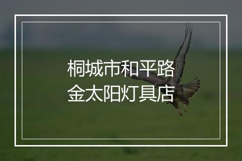 桐城市和平路金太阳灯具店