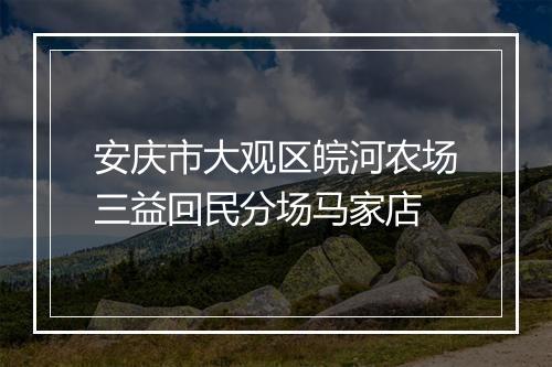 安庆市大观区皖河农场三益回民分场马家店