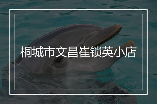 桐城市文昌崔锁英小店