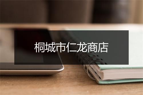 桐城市仁龙商店