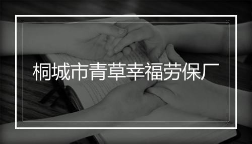 桐城市青草幸福劳保厂