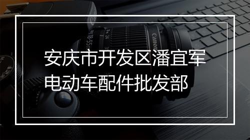 安庆市开发区潘宜军电动车配件批发部