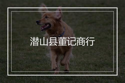 潜山县董记商行