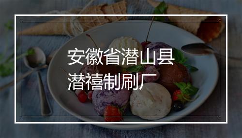 安徽省潜山县潜禧制刷厂