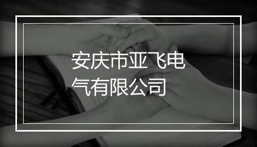安庆市亚飞电气有限公司