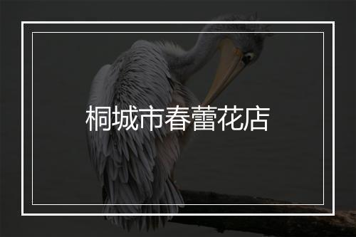 桐城市春蕾花店