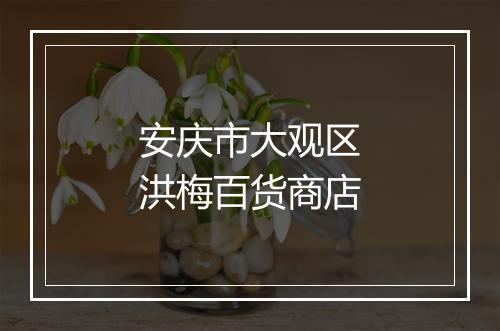 安庆市大观区洪梅百货商店