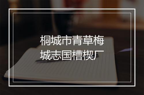 桐城市青草梅城志国槽楔厂