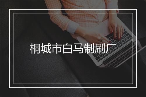 桐城市白马制刷厂
