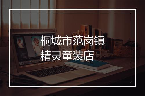 桐城市范岗镇精灵童装店