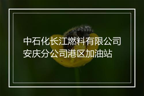 中石化长江燃料有限公司安庆分公司港区加油站