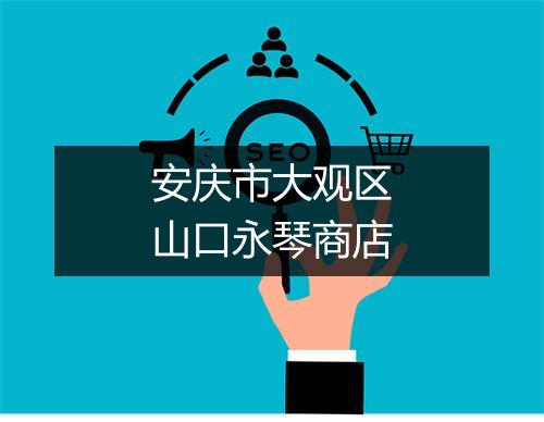 安庆市大观区山口永琴商店