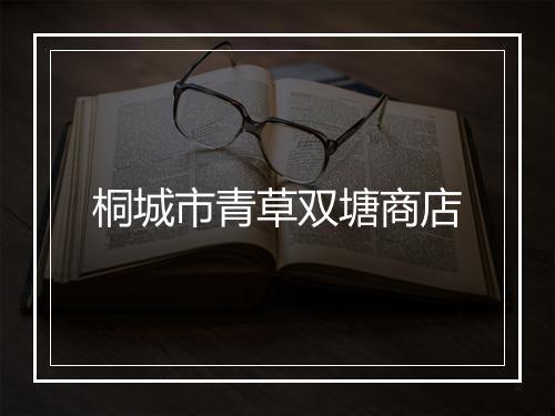 桐城市青草双塘商店