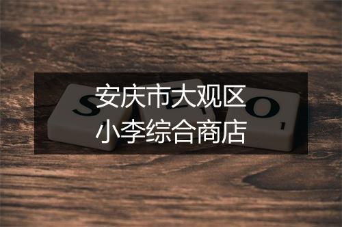 安庆市大观区小李综合商店