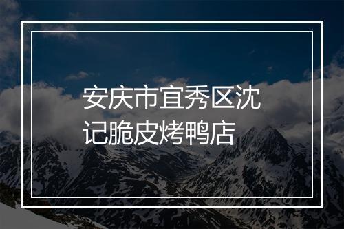 安庆市宜秀区沈记脆皮烤鸭店