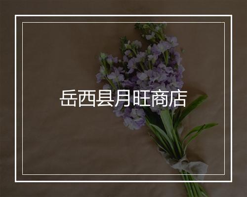 岳西县月旺商店