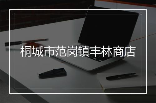 桐城市范岗镇丰林商店