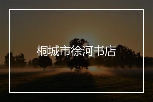 桐城市徐河书店