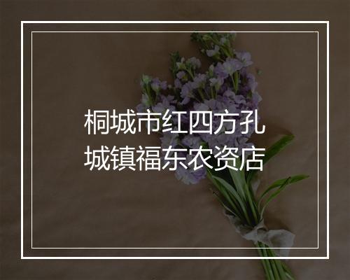 桐城市红四方孔城镇福东农资店