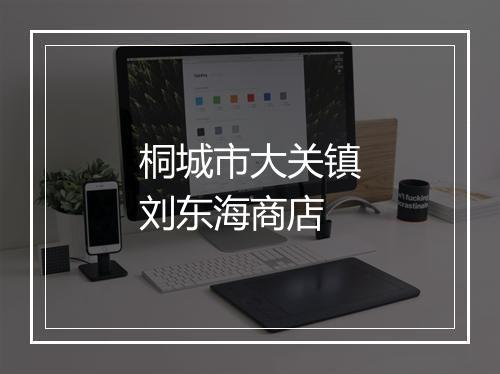 桐城市大关镇刘东海商店