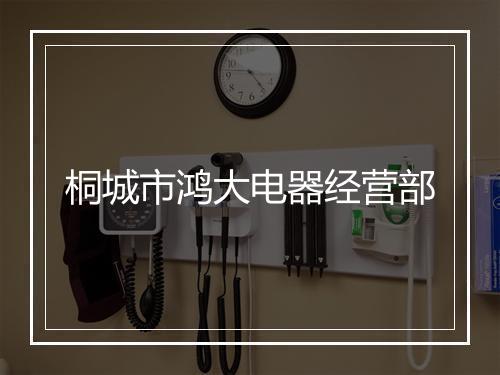 桐城市鸿大电器经营部