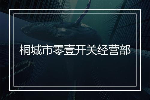 桐城市零壹开关经营部