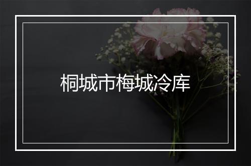 桐城市梅城冷库