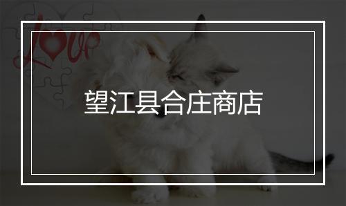 望江县合庄商店