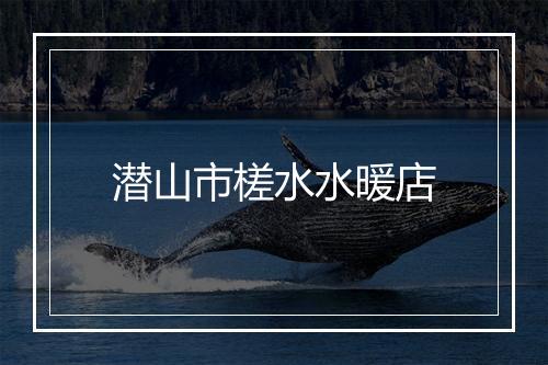 潜山市槎水水暖店